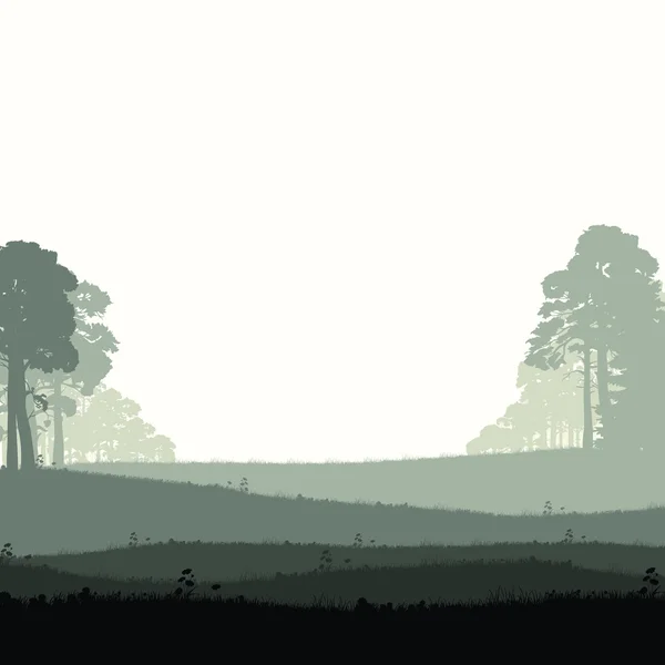 Bosque silvestre de coníferas — Vector de stock