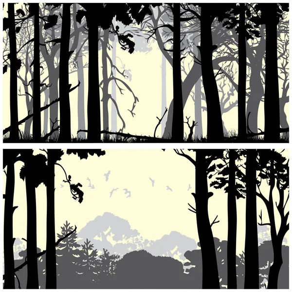 Bosque silvestre de coníferas — Vector de stock