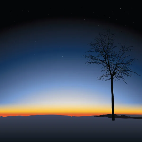 Baum auf Sonnenuntergang Hintergrund — Stockvektor