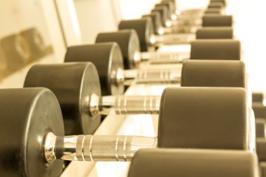 Halter salonunda bir raf üzerinde