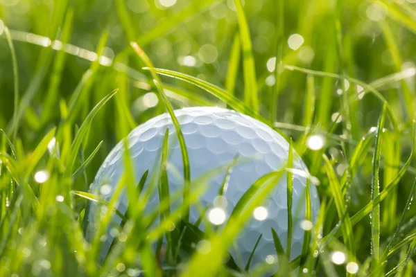 Boule de golf sur herbe avec bokeh — Photo