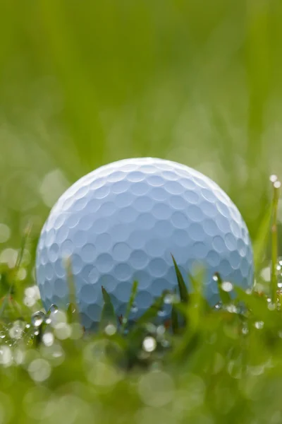 Мяч для гольфа на траве с каплями воды — стоковое фото
