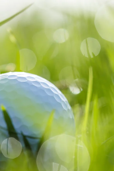 Primer plano de la pelota de golf en la hierba con bokeh — Foto de Stock