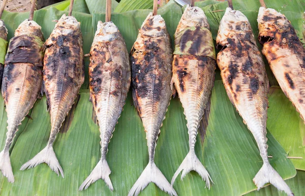 Grilled torpedo scad (Finny scad) pescado - Comida tailandesa — Foto de Stock