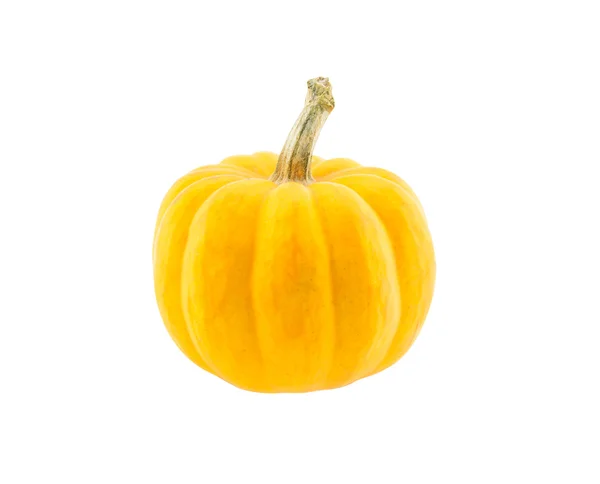 Zucca isolata su sfondo bianco — Foto Stock