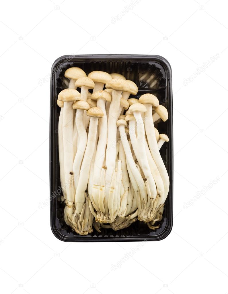 Top view Brown beech mushrooms, Shimeji mushroom in  isolated on