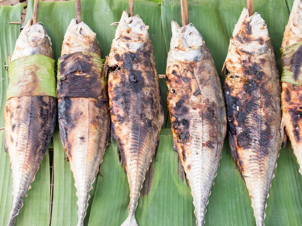 Gegrillter Torpedo Scad (finnischer Scad) Fisch - thailändisches Essen — Stockfoto