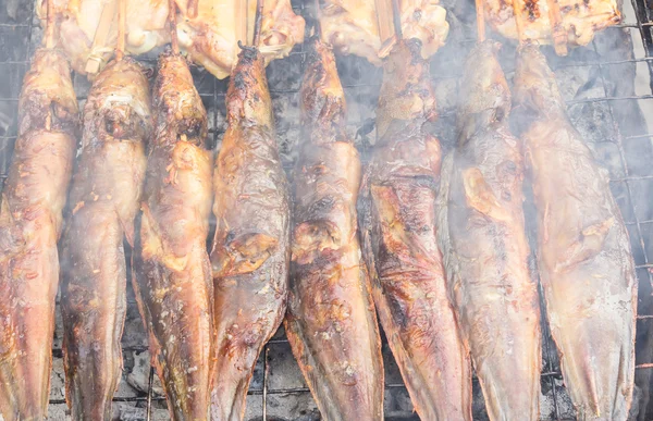 Grilled catfish on stove - thai food — Stock Photo, Image