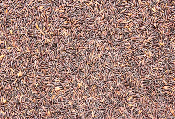 Чёрный жасминовый рис — стоковое фото