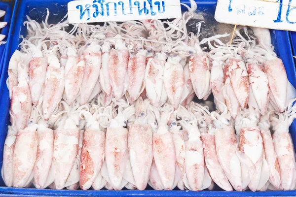 Raw squid in prastic tray — Stock Photo, Image