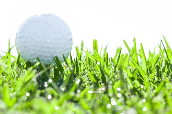 Golf ball on grass with drops water — Stock Photo, Image