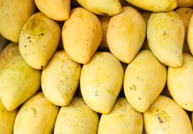 Mango meyve Tay Market