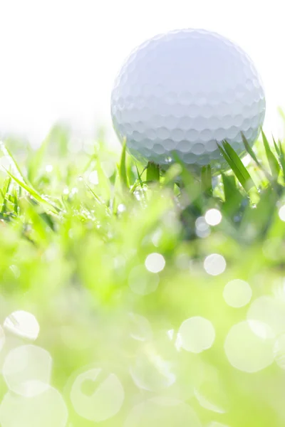 Pelota de golf sobre hierba con gotas de agua — Foto de Stock