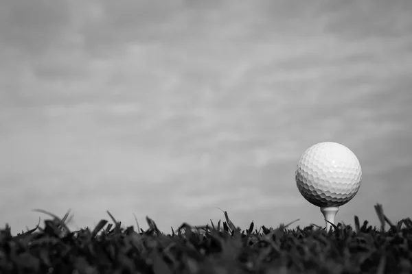 Blanco y negro de pelota de golf en tee — Foto de Stock