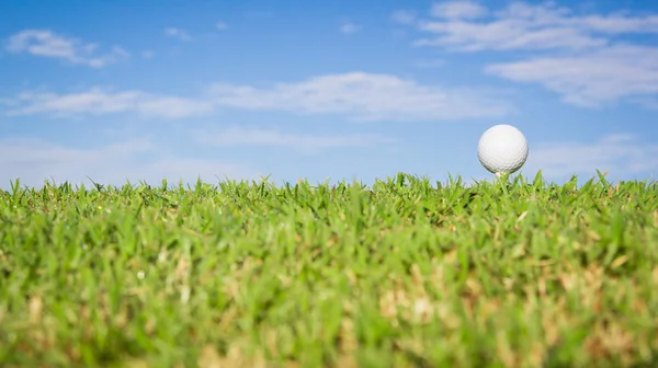 Golf ball op gras met hemelachtergrond — Stockfoto