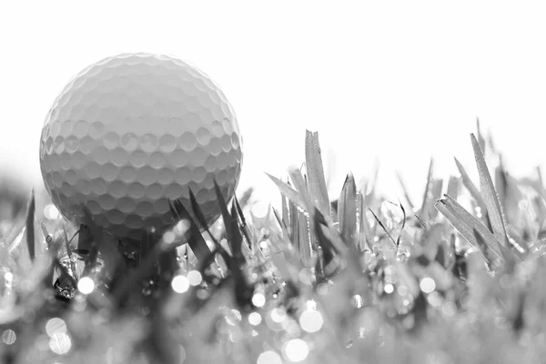 Черный и белый мяч для гольфа на траве с боке — стоковое фото