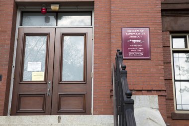 Harvard doğa tarihi Müzesi ', Cambridge, Ma, ABD giriş