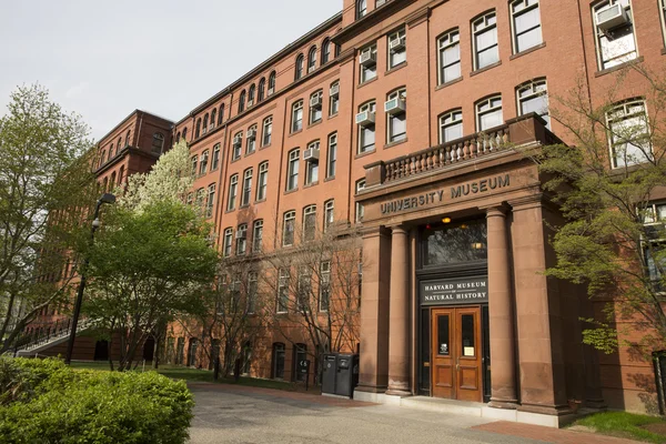 Ingang van het Harvard Museum of Natural History in Cambridge, Ma, Verenigde Staten — Stockfoto