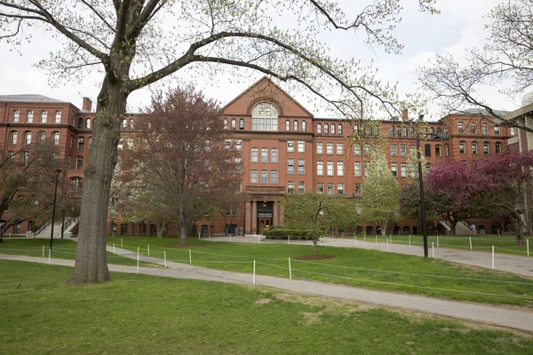 Harvard doğa tarihi Müzesi ', Cambridge, Ma, ABD giriş