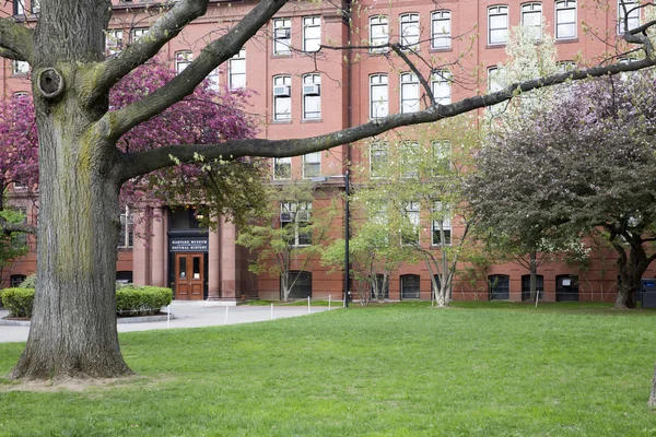 Harvard doğa tarihi Müzesi ', Cambridge, Ma, ABD giriş
