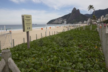 Ipanema Plajı Rio de Janeiro sahne