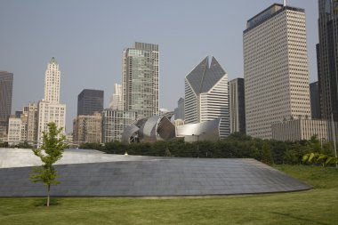 Genel kan basıncı geçit Millenium Park Chicago, Il