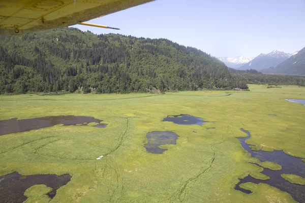 Vista aérea da selva do Alasca — Fotografia de Stock