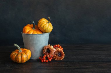 Balkabakları, yabanmersinleri ve çiçeklerle sonbahar arkaplanı. Koyu kırsal ahşap arka plan. Metin için yer.