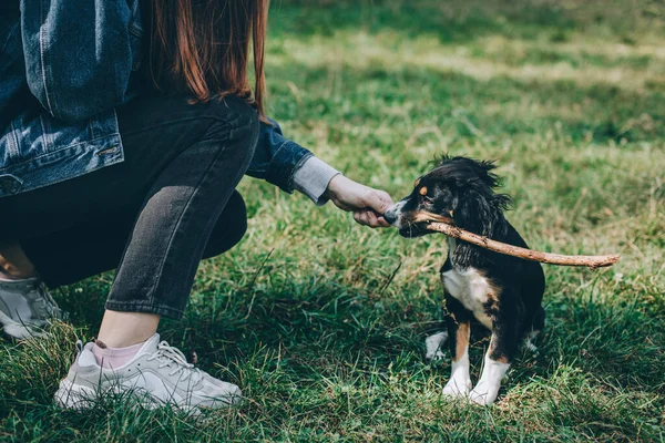 Entzückender Welpe Und Ein Mädchen Das Mit Stock Auf Einem — Stockfoto