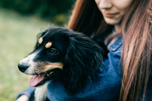 Adorable Chiot Dans Les Mains Propriétaire Marchant Dans Parc Portrait — Photo