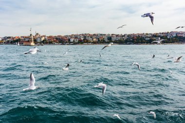 İstanbul 'un denizden inanılmaz manzarası, Boğaz, Türkiye. Uçan martılar suyun altında.