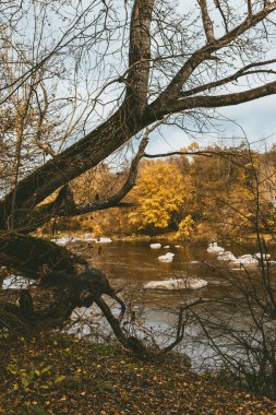Nehir ve ormanı olan güzel bir sonbahar manzarası. Sonbaharın sonu. 