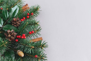 Christmas background with spruce branches, red berries, cones and cinnamon sticks. Holiday eco-friendly concept. Grey background.  Place for text.