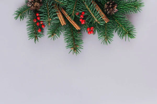 Fondo Navideño Con Ramas Abeto Bayas Rojas Conos Palitos Canela — Foto de Stock