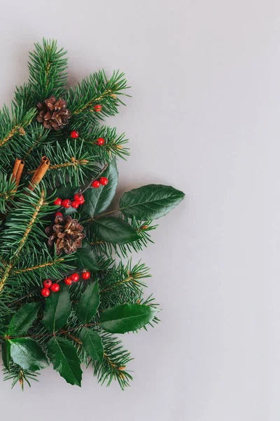 Ladin dalları, kırmızı böğürtlenler, koniler ve tarçın çubukları olan bir Noel arkaplanı. Tatil çevre dostu kavram. Gri arka plan. Düz yatıyordu. Metin için yer.