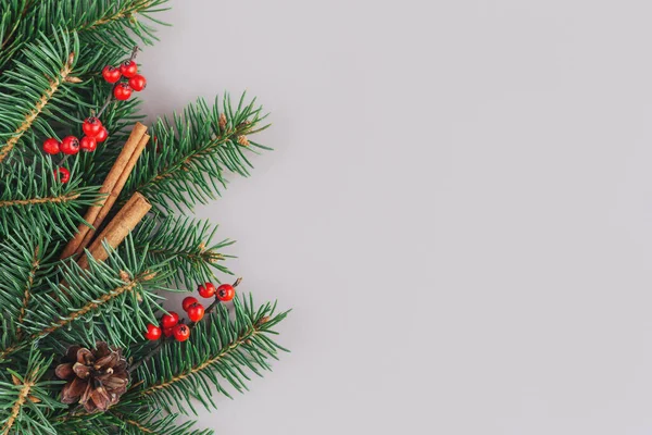 Ladin dalları, kırmızı böğürtlenler, koniler ve tarçın çubukları olan bir Noel arkaplanı. Tatil çevre dostu kavram. Gri arka plan. Düz yatıyordu. Metin için yer.