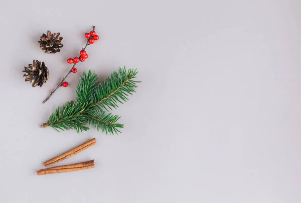 Fondo Navideño Con Ramas Abeto Bayas Rojas Conos Palitos Canela — Foto de Stock