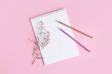 Boş sayfası ve pembe arka planda iki kalemi olan bir defter. Düz yatıyordu. Metin için yer. 