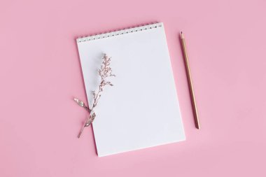 Pembe arka planda boş sayfa ve kalem olan bir defter. Düz yatıyordu. Metin için yer. 