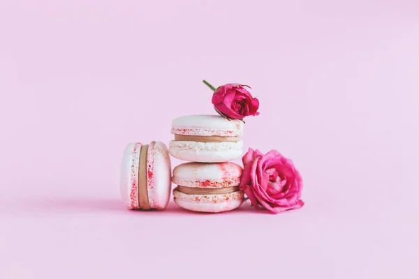 Tasty french macaroons with tender rose on a pink pastel background.  Place for text.