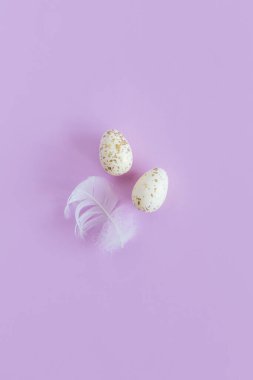 Paskalya yumurtaları ve menekşe arkaplanda beyaz tüy. Pastel renkler. Düz yatıyordu.