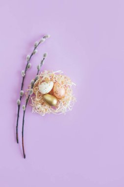 Yumurtalı ve söğüt dallı Paskalya arkaplanı. Pastel renkler. Düz yatıyordu.