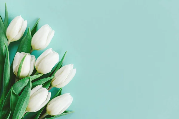 Tender Tulipanes Blancos Sobre Fondo Pastel Turquesa Tarjeta Felicitación Para — Foto de Stock