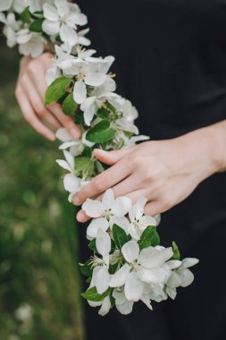 Bir kadının elinde çiçek açan bir elma ağacının dalı. Bahar çiçeği. Seçici odak.