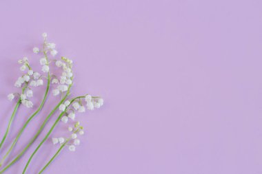 Vadi çiçeklerinin güzel zambakları menekşe renginde. Düz yatıyordu. Metin için yer.