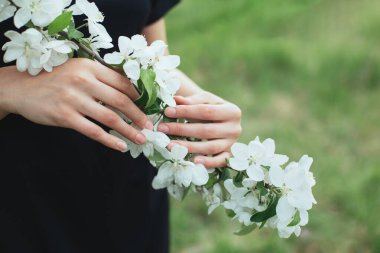 Bir kadının elinde çiçek açan bir elma ağacının dalı. Bahar çiçeği. Seçici odak.