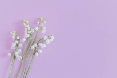 Vadi çiçeklerinin güzel zambakları menekşe renginde. Düz yatıyordu. Metin için yer.