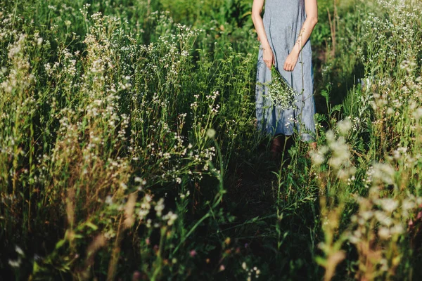 아마포 소녀는 목초지에 다발을 여름의 — 스톡 사진