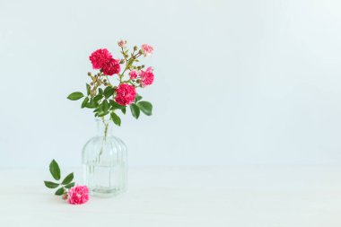 Beyaz arka planda cam bir vazoda pembe güllerin romantik buketi. Metin için yer.