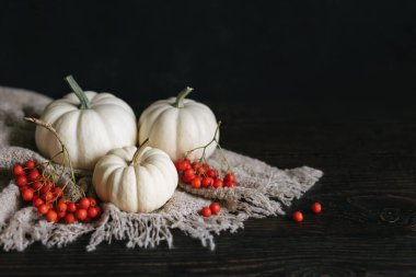Koyu ahşap arka planda olgun balkabakları ve kızılcık meyveleri. Şükran Günü kartı ya da geçmiş bilgisi. Metin için yer.